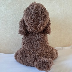 【美品】 トイプードル ぬいぐるみ 犬  ブラウンの画像