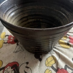 メダカ、金魚鉢の画像