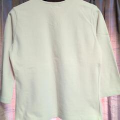 女性用Ｔシャツの画像