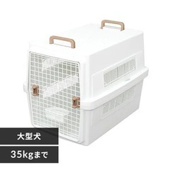 ゲージとキャリーの画像