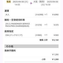 大坂⇔奄美大島ピーチ格安航空券の画像