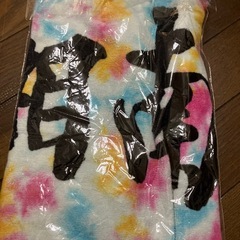 未開封湘南乃風タオルの画像
