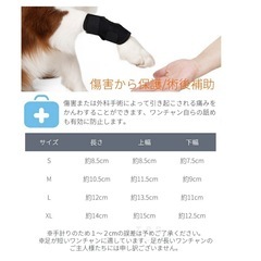 ペット用　膝サポーター　Sサイズの画像