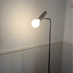 フロアランプ/Francfrancの画像