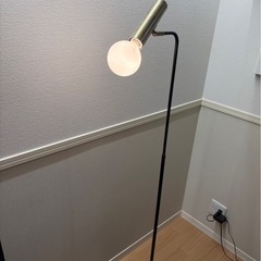 フロアランプ/Francfrancの画像