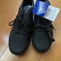 MIZUNO ポイントスパイク  25.5cmの画像