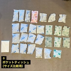 小さめの保冷剤27個の画像