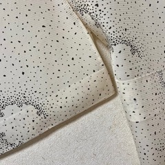 絽の着物　新品未使用しつけ付きの画像