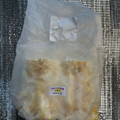 ⭐︎ご商談中です⭐︎【♀53.4mm】オオクワガタ使用済み♀1頭【オマケ産卵材付き】の画像