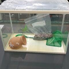0725-120 水槽　ポンプなしの画像