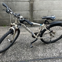 giant rock4500の画像