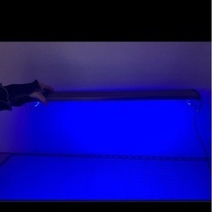 海水魚 淡水魚 ライトの画像