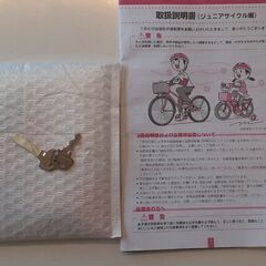 超美品　ブリジストン　エコパル20インチの画像