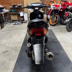 ホンダ ライブDIOの画像