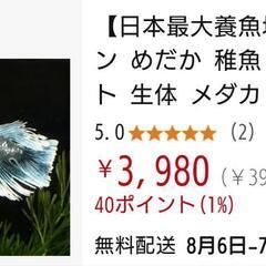 メダカ　エメキン　幼魚　10匹の画像