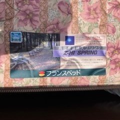 引き出し付き　シングルサイズフランスベッドの画像