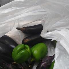 野菜あげますの画像