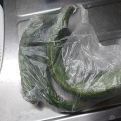 野菜あげますの画像