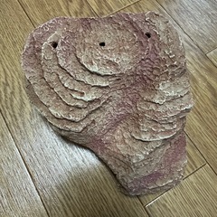 GEX ジェックス　カメの島　Mサイズ　の画像