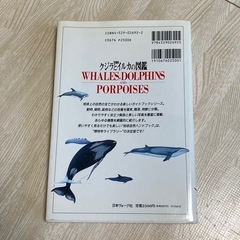 地球自然　ハンドブック　完璧版　クジラとイルカの図鑑　人気の画像