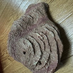 GEX ジェックス　カメの島　Mサイズの画像