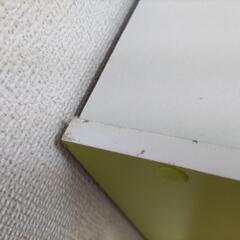 カラーボックス　緑と白の画像