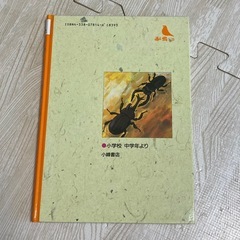 カブトムシの木 赤い鳥文庫　日比 茂樹　夏目 尚吾　小峰書店　希少の画像