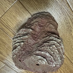 GEX ジェックス　カメの島　Sサイズの画像