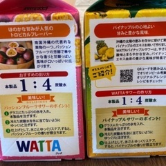 オリオンWATTA  ⭐︎オリオングラス付き⭐︎　まとめ買い割引きの画像