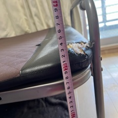 折りたたみベッドの画像