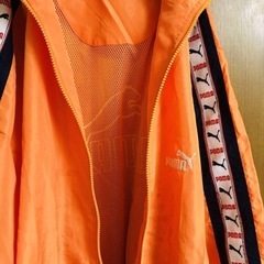 PUMA トレーニングウェアの画像