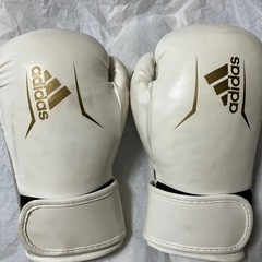 adidas空手ミット　の画像