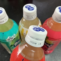 沖縄バヤリース　4種8本の画像