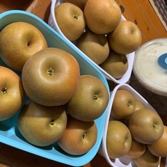 梨(ｼﾝｽｲ)
の画像