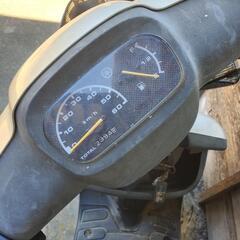 YAMAHAの画像