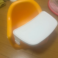 バンボの画像