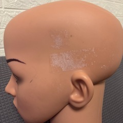 差し上げます！帽子ディスプレイ用マネキン人形　　の画像