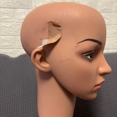 差し上げます！帽子ディスプレイ用マネキン人形　　の画像