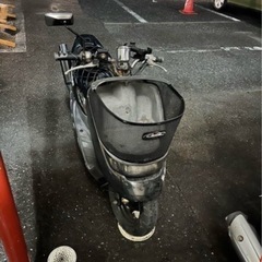 ライブディオチェスタ ロンホイの画像