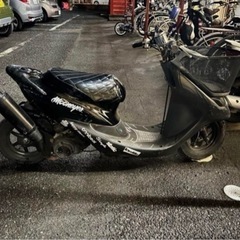 ライブディオチェスタ ロンホイの画像