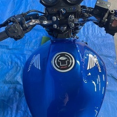 ホーネット250 MC31 極上　各所点検メンテナンス済み　自賠責付き　の画像