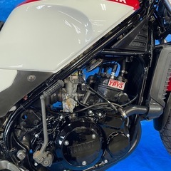 RZ250R 1XG 極上　驚愕の走行距離　メンテナンス箇所多数　希少なフルノーマルの画像