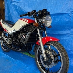 RZ250R 1XG 極上　驚愕の走行距離　メンテナンス箇所多数　希少なフルノーマルの画像
