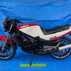 RZ250R 1XG 極上　驚愕の走行距離　メンテナンス箇所多数　希少なフルノーマルの画像
