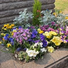 🌸 家庭と両立OK！福祉事務スタッフ（未経験歓迎）募集🌸の画像