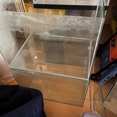 水槽各種の画像