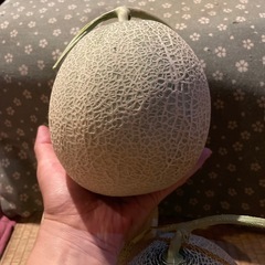 今週末限定！ちっちゃめ富良野メロンの画像
