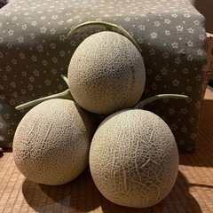 今週末限定！ちっちゃめ富良野メロンの画像