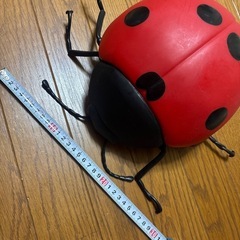 ビッグ　てんとう虫の画像
