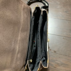 カステルバジャックの画像